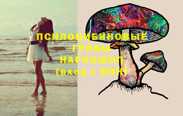 PSILOCYBIN Нея