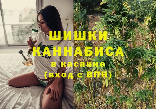 молекула духа Нефтегорск