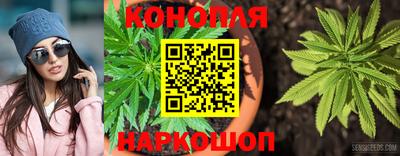 мяу мяу мука Беслан