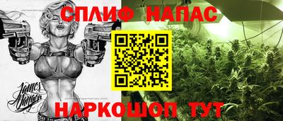 стафф Малоярославец