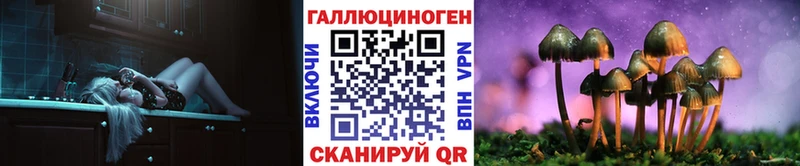кракен зеркало  Дмитров  Псилоцибиновые грибы ЛСД 