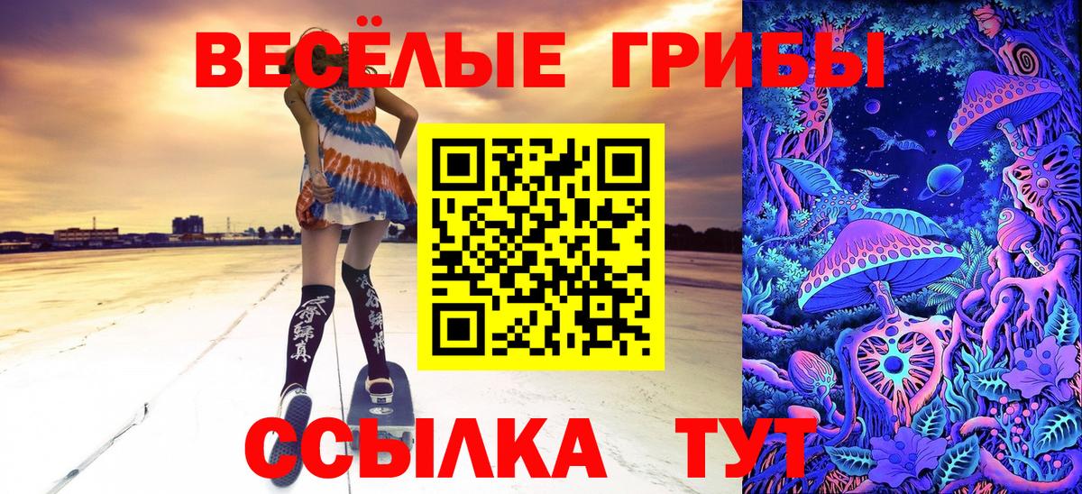 Псилоцибиновые грибы прущие грибы Дмитров