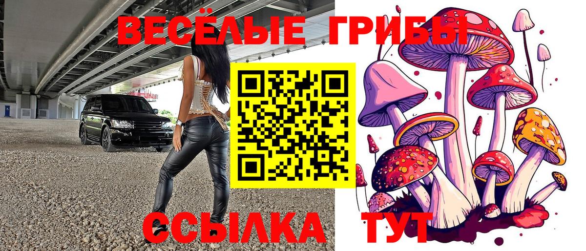как найти наркотики  Вход с VPN  Дмитров  Галлюциногенные грибы ЛСД 