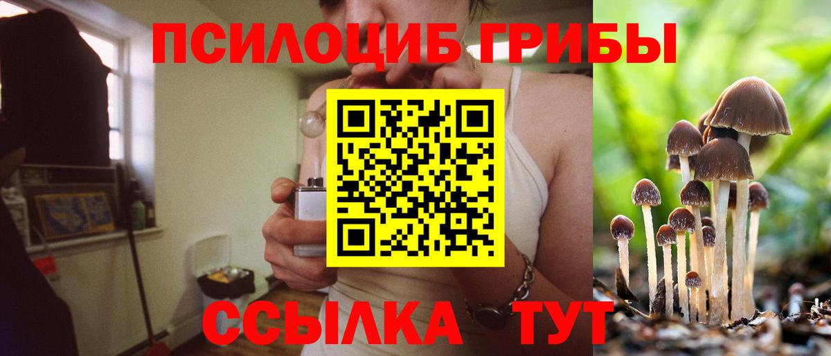 Псилоцибиновые грибы Magic Shrooms Дмитров