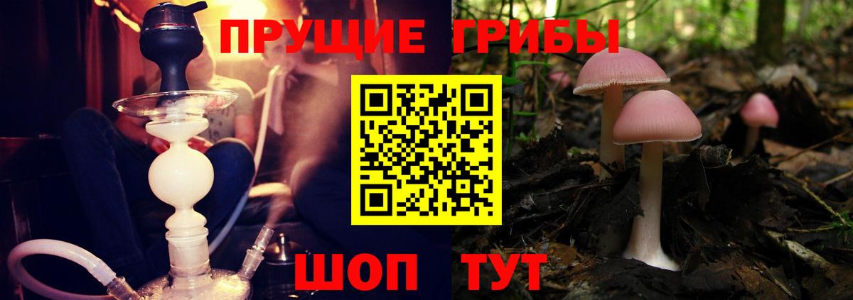 МЕТАДОН Дмитров